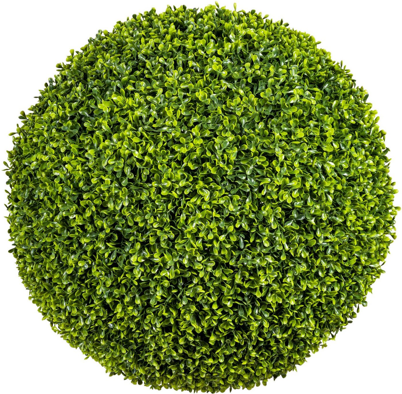 Kunstpflanze Buchsbaumkugel Buchsbaum, Creativ green, Höhe 54 cm von Creativ green