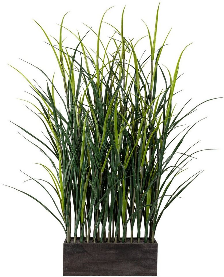 Kunstpflanze Kunststoffgras Raumteiler Gras, Creativ green, Höhe 90 cm, im Holzkasten von Creativ green