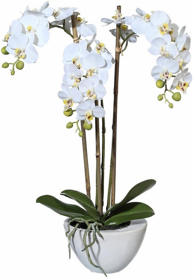 Kunstpflanze Mini Orchidee, Creativ green, Höhe 51 cm von Creativ green