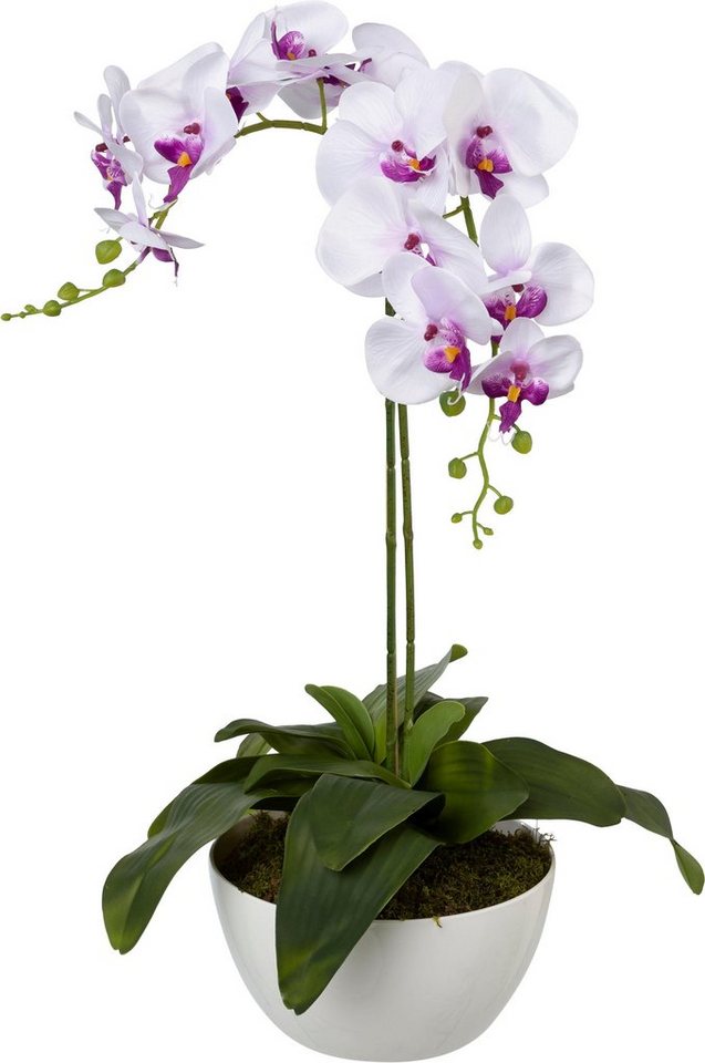 Kunstpflanze Orchidee, Creativ green, Höhe 65 cm von Creativ green