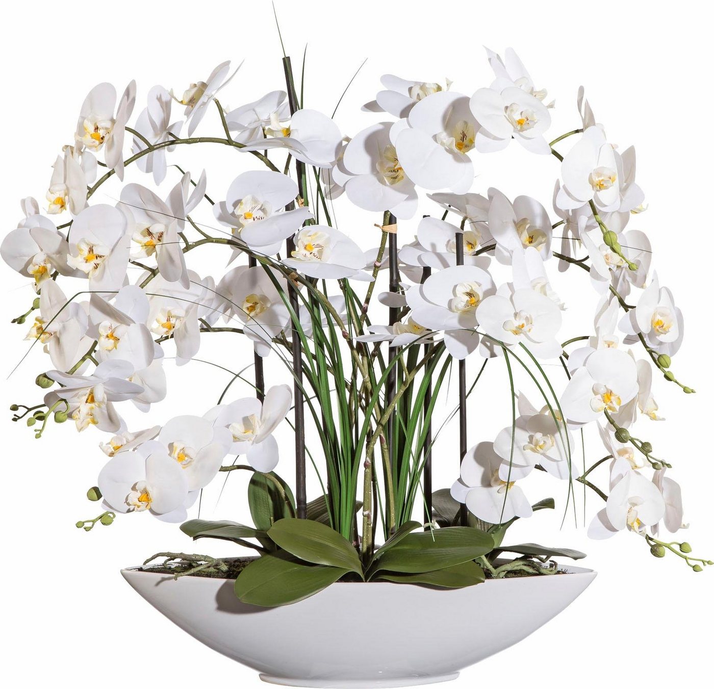 Kunstpflanze Orchidee, Creativ green, Höhe 70 cm von Creativ green