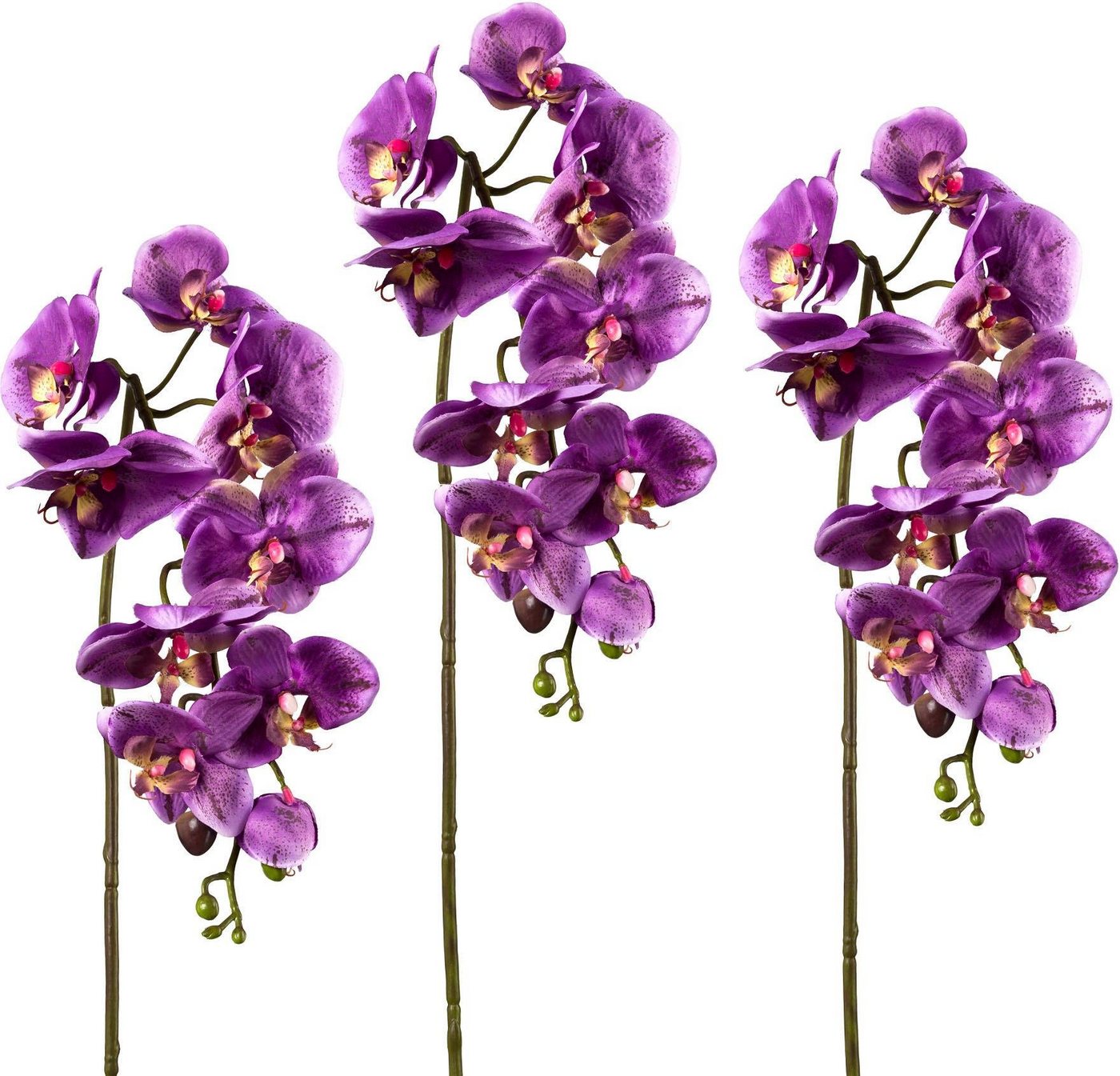 Kunstpflanze Orchidee, Creativ green, Höhe 98 cm, 3er Set von Creativ green