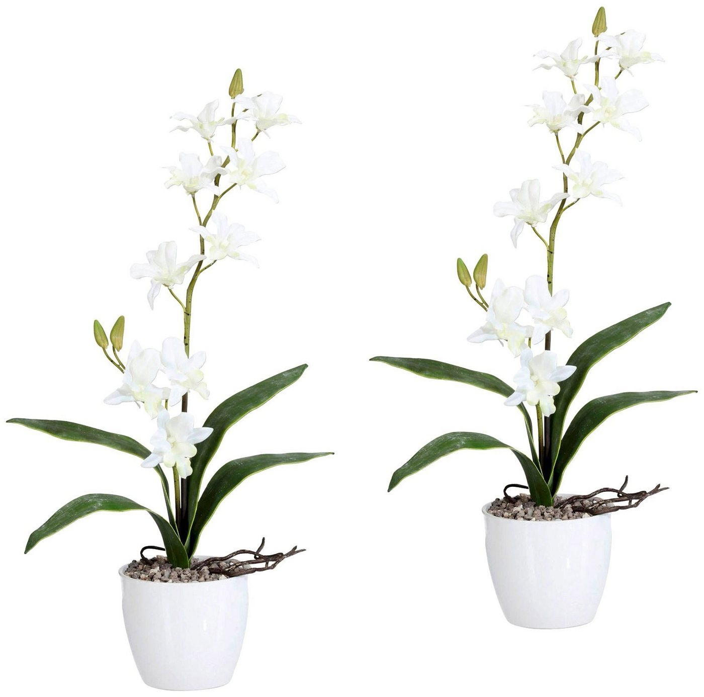 Kunstpflanze Orchidee Dendrobie Orchidee, Creativ green, Höhe 60 cm, im Keramiktopf von Creativ green