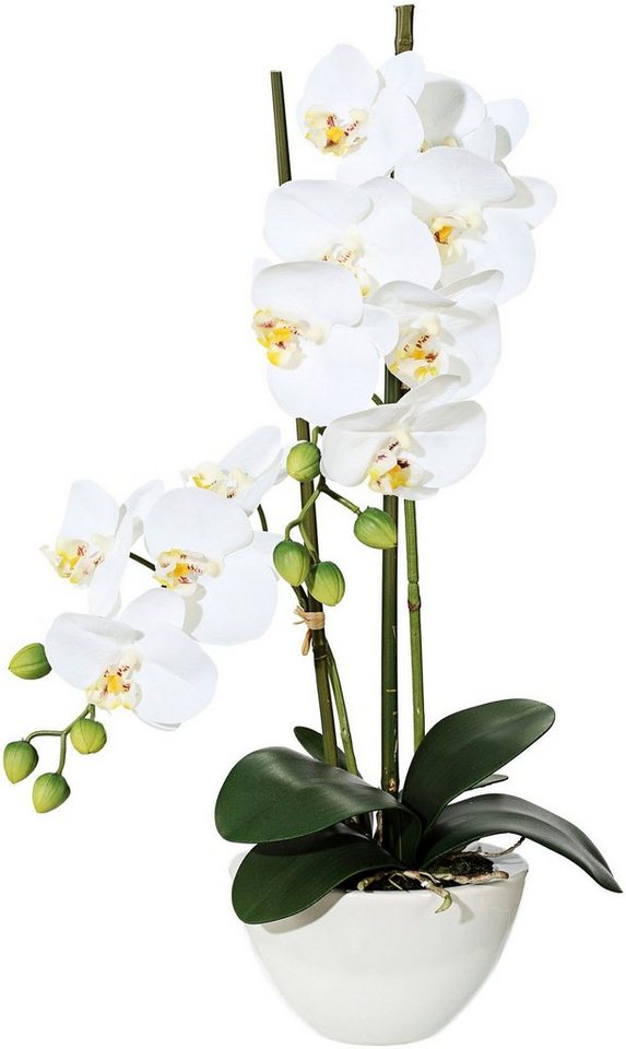 Kunstpflanze Orchidee Orchidee, Creativ green von Creativ green