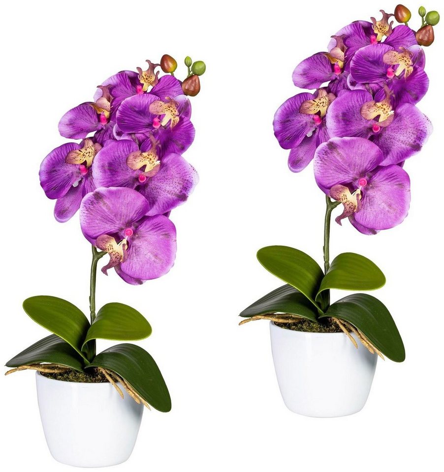Kunstpflanze Orchidee Phalaenopsis Orchidee, Creativ green, Höhe 40 cm, im Keramiktopf von Creativ green