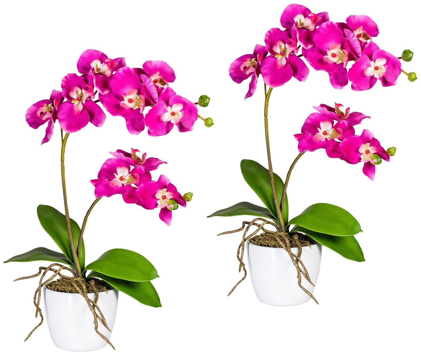 Kunstpflanze Orchidee Phalaenopsis Orchidee, Creativ green, Höhe 60 cm, im Keramiktopf von Creativ green