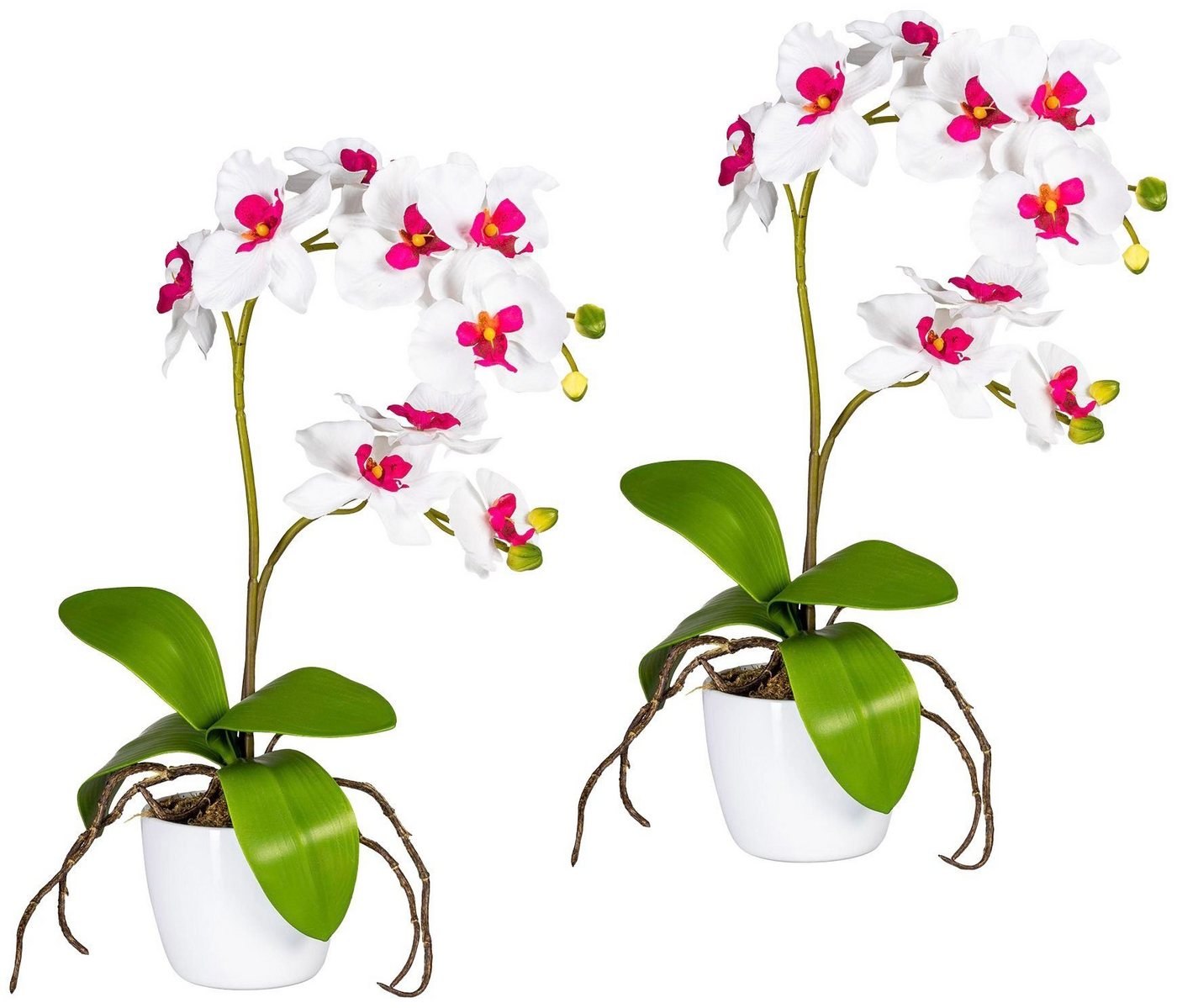 Kunstpflanze Orchidee Phalaenopsis Orchidee, Creativ green, Höhe 60 cm, im Keramiktopf von Creativ green
