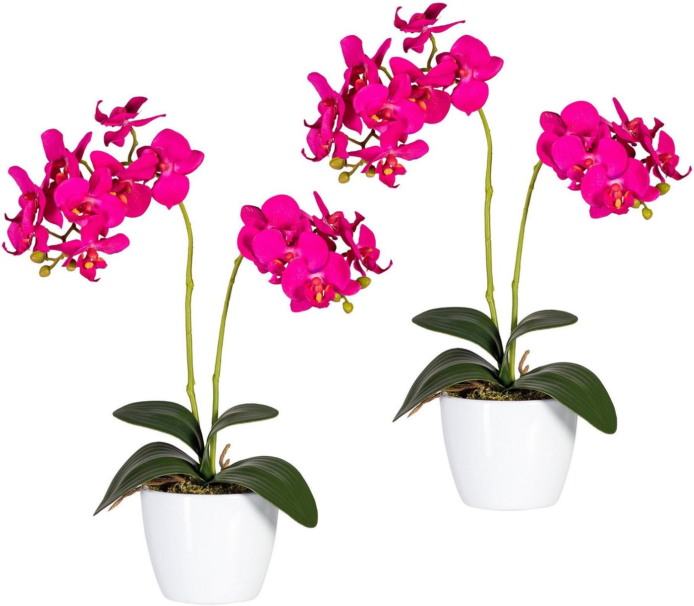 Kunstpflanze Phalaenopsis Orchidee, Creativ green, Höhe 50 cm von Creativ green