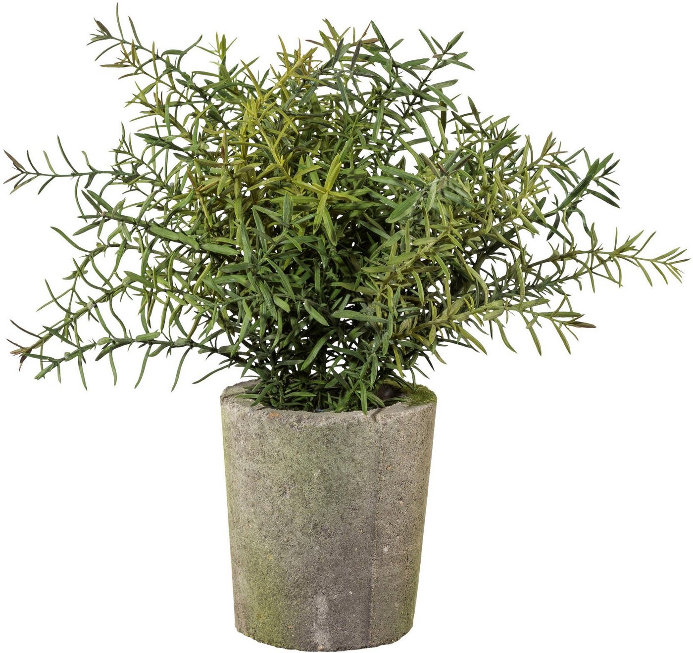 Kunstpflanze Rosmarin Kräuter, Creativ green, Höhe 30 cm von Creativ Green