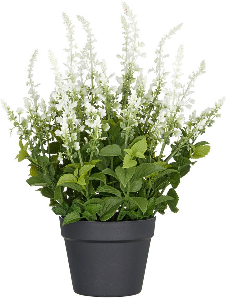 Kunstpflanze Salvia superba, Creativ green, Höhe 65 cm, in UV-beständiger Ausführung von Creativ green