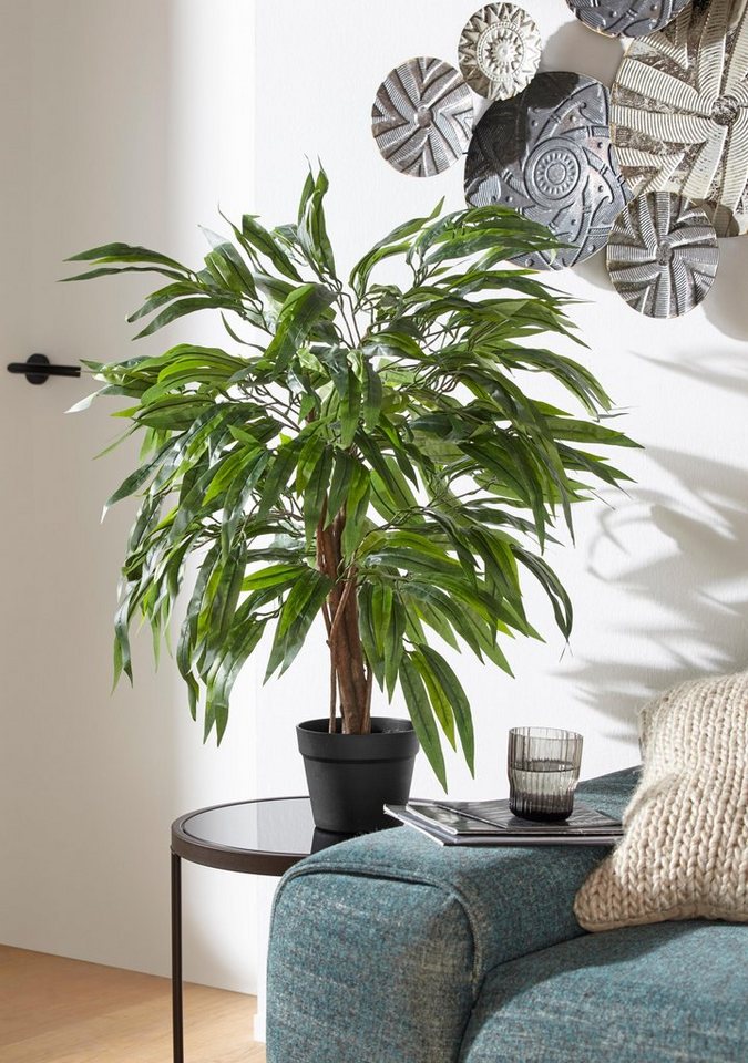 Kunstpflanze Weeping-Ficus, Creativ green, Höhe 80 cm von Creativ green