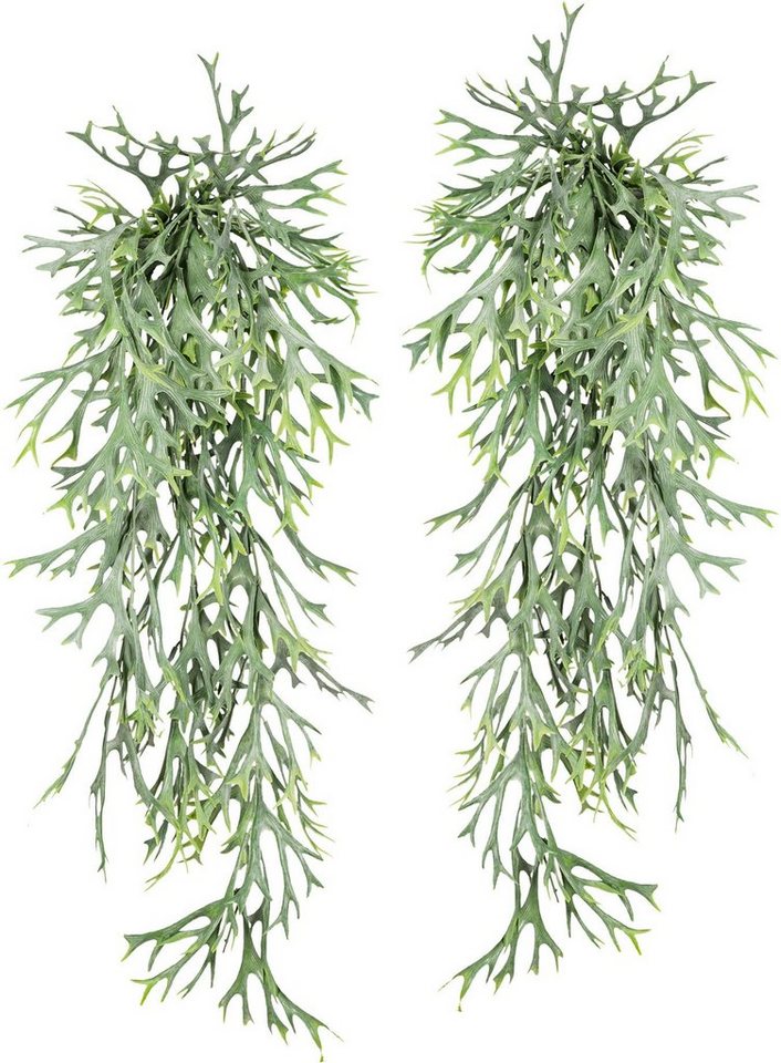 Kunstranke Geweihfarnhänger Sukkulente, Creativ green, Höhe 75 cm, 2er Set von Creativ green