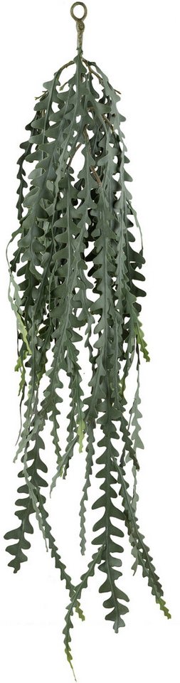 Kunstranke Hängepflanze Epiphyllum anguliger, Creativ green, Höhe 100 cm, mit detailgetreuem Blattwerk von Creativ green