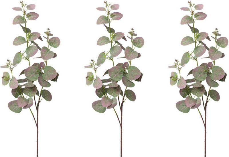 Kunstzweig Eukalyptuszweig Eukalypthus, Creativ green, Höhe 72 cm von Creativ green