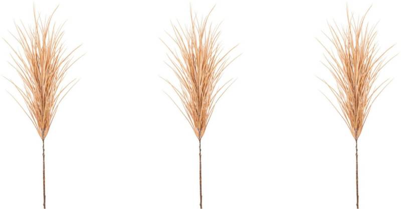 Kunstzweig Gras-Zweig Gras, Creativ green, Höhe 79 cm von Creativ green