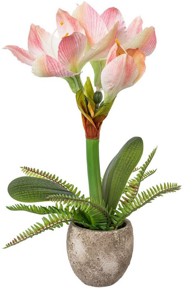 Winterliche Kunstpflanze Weihnachtsdeko Amaryllis, Creativ green, Höhe 35 cm, Blumenpracht mit Farnzweigen im Zementtopf von Creativ green