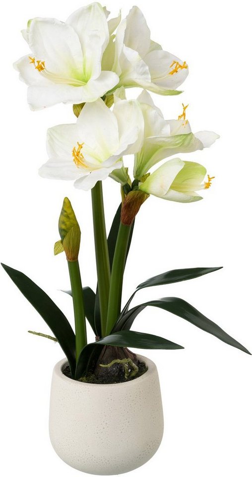 Winterliche Kunstpflanze Weihnachtsdeko Amaryllis, Creativ green, Höhe 60 cm, Real-Toch-Blüten, Pflanze im Keramiktopf von Creativ green