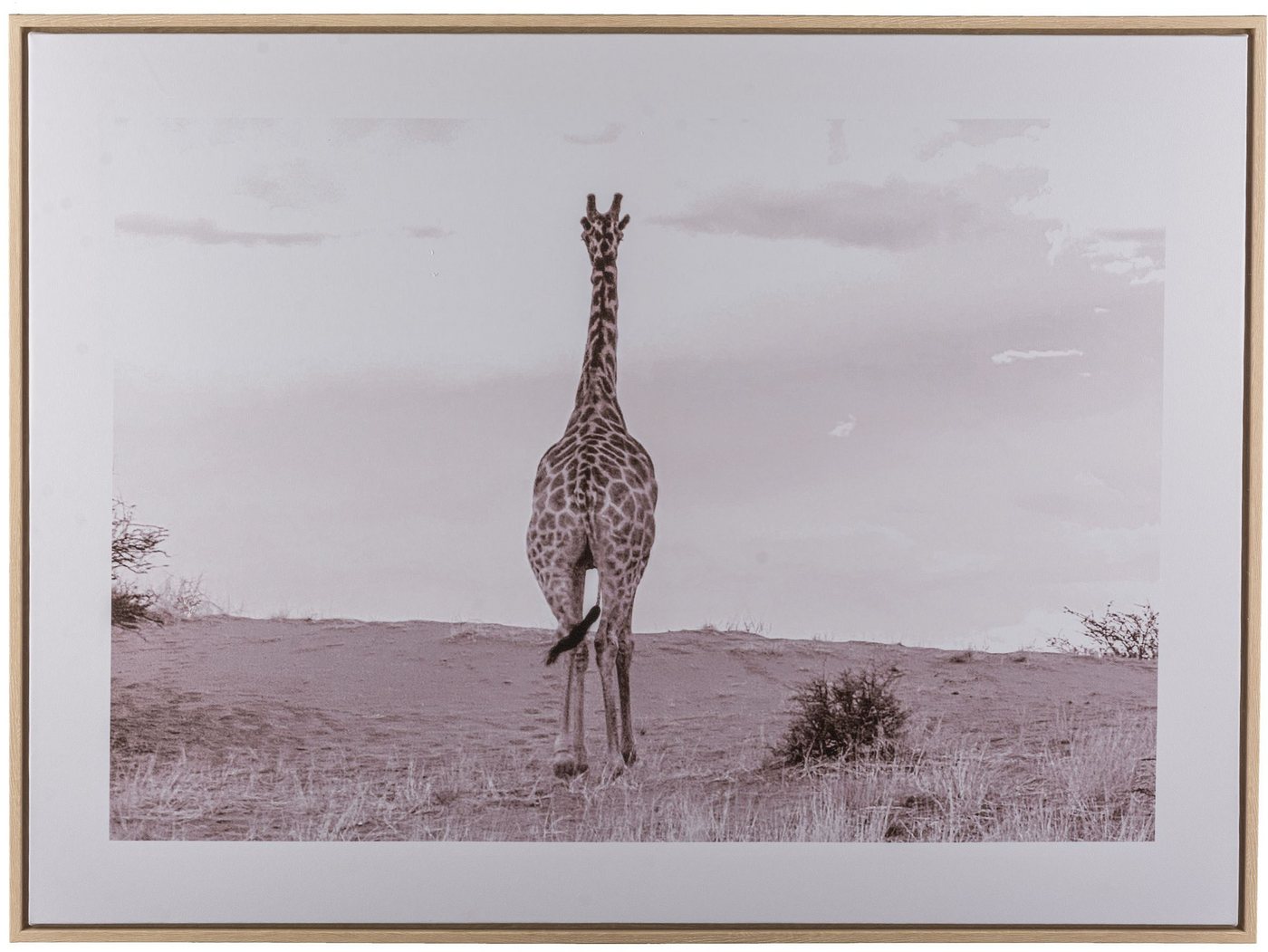 Creativ home Bild mit Rahmen Giraffe, (1 St), mit schwarz-weißem Motiv von Creativ home