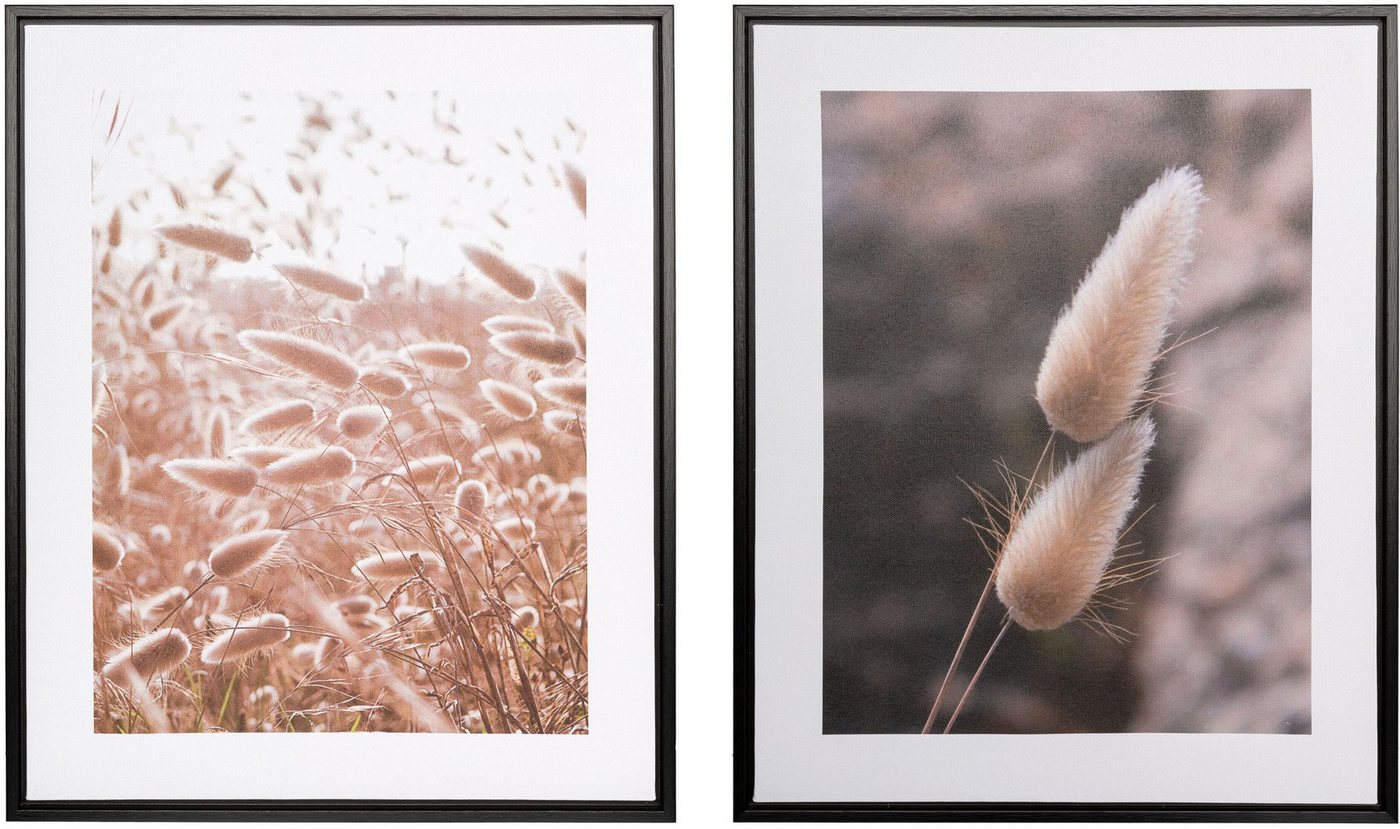 Creativ home Bild mit Rahmen Schilf, (2 St), auf Canvas-Leinwand von Creativ home