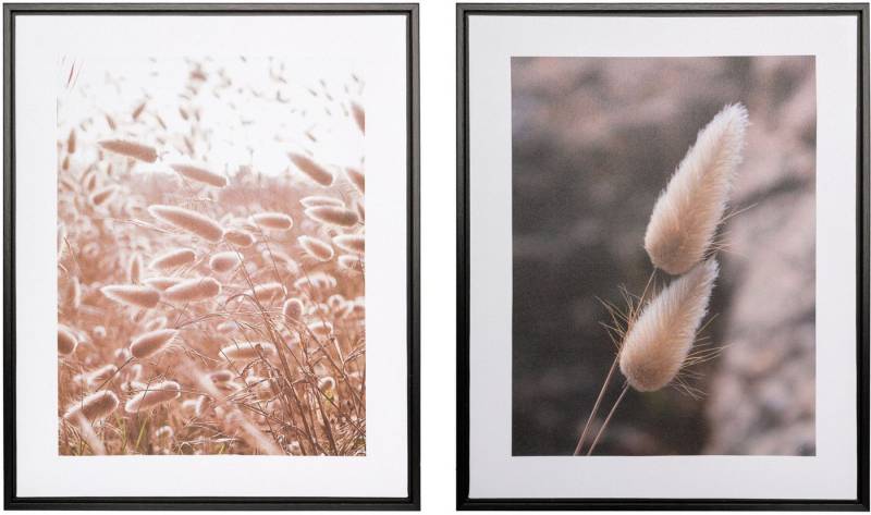 Creativ home Bild mit Rahmen Schilf, (2 St), auf Canvas-Leinwand von Creativ home