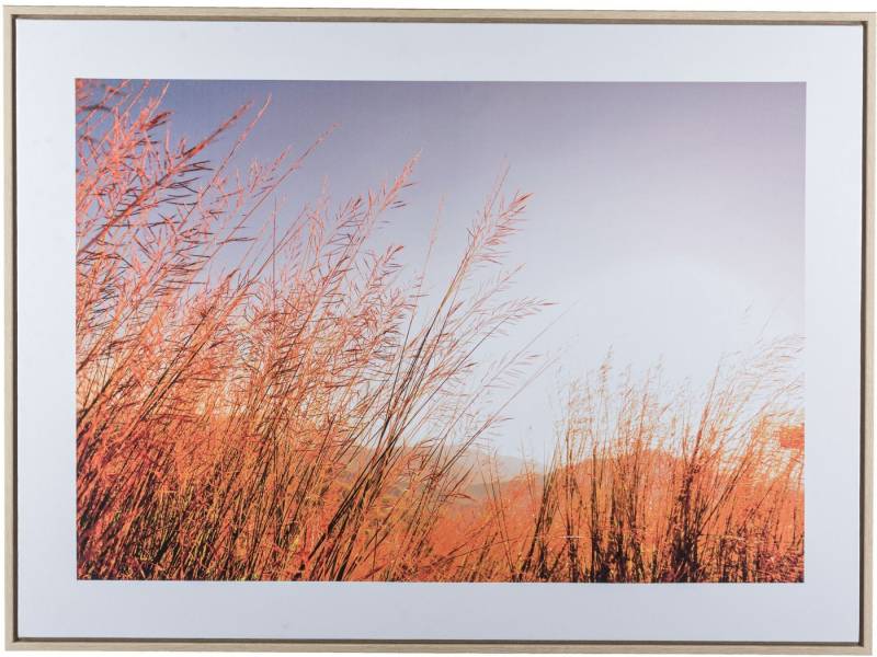 Creativ home Bild mit Rahmen Wiese, (1 St), mit besonderer Lichtstimmung von Creativ home