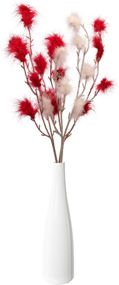 Creativ home Tischvase Vase mit Federzweigen (4 St), für die moderne Einrichtung von Creativ home