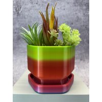 Einzigartiger Pflanztopf Für Sukkulenten, Kakteen Oder Pflanzen Mit Eingebauter Drainageschale - 4 "x 3, 5" -Klein; Usa Shop Einzigartiger Pflanztopf Für Sukkulenten, Kakteen Oder Pflanzen Mit Eingebauter Drainageschale - 4 "x 3, 5" -Klein; Usa Shop von Creative3DByBen