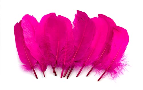 10 Gänsefedern 15-20cm (fuchsia/magenta 183D) // Echte Federn Bastelfedern Schmuckfedern Dekofedern Vogelfedern Dekofedern von Creativery