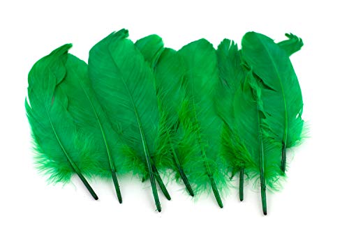 10 Gänsefedern 15-20cm (grün 580) // Echte Federn Bastelfedern Schmuckfedern Dekofedern Vogelfedern Dekofedern von Creativery