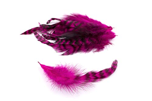 10 Hahnenfedern Chinchilla 15-20cm (fuchsia/magenta 183D) // Vogelfedern Schmuckfedern Bastelfedern Maskenfedern Deko Federn Hahn von Creativery