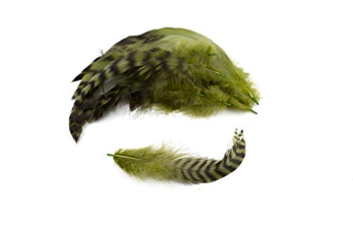 10 Hahnenfedern Chinchilla 15-20cm (lindgrün 548H) // Vogelfedern Schmuckfedern Bastelfedern Maskenfedern Deko Federn Hahn von Creativery