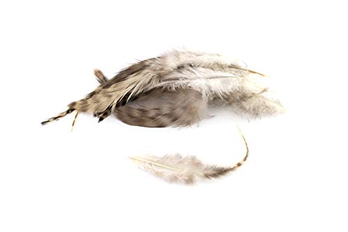 10 Hahnenfedern Chinchilla 15-20cm (naturell) // Vogelfedern Schmuckfedern Bastelfedern Maskenfedern Deko Federn Hahn von Creativery
