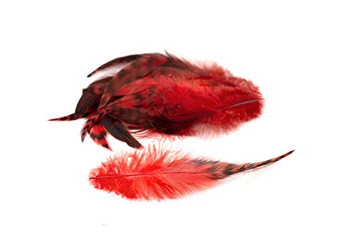 10 Hahnenfedern Chinchilla 15-20cm (rot 250) // Vogelfedern Schmuckfedern Bastelfedern Maskenfedern Deko Federn Hahn von Creativery