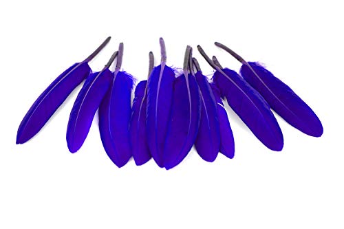 10 Indianerfedern ca. 10-15cm (blau 352 / königsblau/royalblau) // Dekofedern Bastelfedern Masken Federn Schmuckfedern Vogelfedern von Creativery