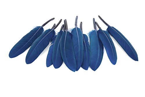 10 Indianerfedern ca. 10-15cm (dunkelblau/navy 370) // Dekofedern Bastelfedern Masken Federn Schmuckfedern Vogelfedern von Creativery