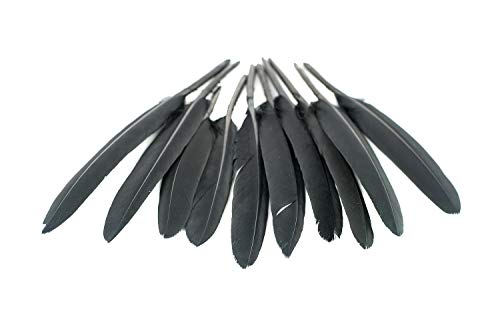 10 Indianerfedern ca. 10-15cm (schwarz 030) // Dekofedern Bastelfedern Masken Federn Schmuckfedern Vogelfedern von Creativery