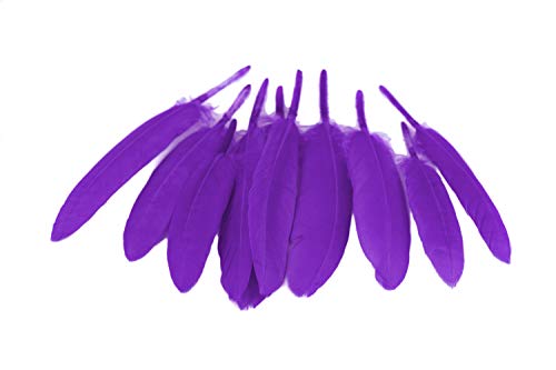 10 Indianerfedern ca. 10-15cm (lila/purpur 465) // Dekofedern Bastelfedern Masken Federn Schmuckfedern Vogelfedern von Creativery