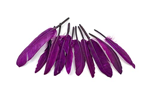 10 Indianerfedern ca. 10-15cm (pflaume 285) // Dekofedern Bastelfedern Masken Federn Schmuckfedern Vogelfedern von Creativery