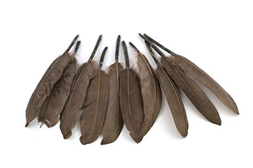 10 Indianerfedern ca. 10-15cm (taupe 823) // Dekofedern Bastelfedern Masken Federn Schmuckfedern Vogelfedern von Creativery