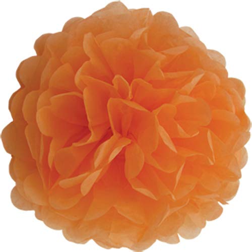 Creativery 10 Papier Pompons 25cm Set (orange 668) // Pompoms Bommel Kugel Seidenpapier Pom Pom Deko Hängedeko Raumdeko Blumen von Creativery