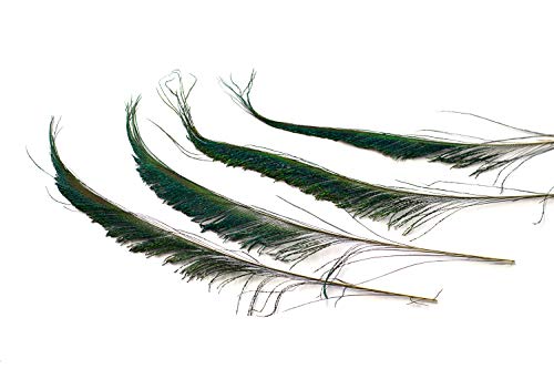 10 Pfauenfedern Natur Schwert 25-30cm Pfau Schwanzfedern Dekofedern Bastelfedern Federn 10 Pfauenfedern Natur Schwert 25-30cm Pfau Schwanzfedern Dekofedern Bastelfedern Federn von Creativery