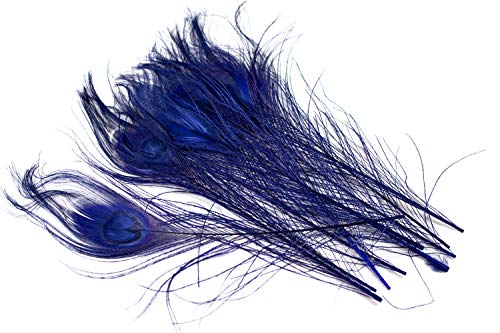 10 echte Pfauenfedern ca. 25-30cm (blau 352 / königsblau/royalblau) // Pfau Federn Natur Auge Deko Pfauenaugen Schmuck von Creativery