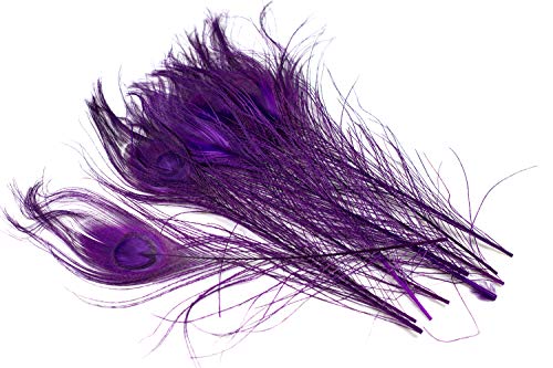 10 echte Pfauenfedern ca. 25-30cm (lila/purpur 465) // Pfau Federn Natur Auge Deko Pfauenaugen Schmuck von Creativery