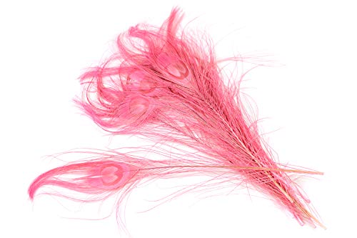 10 echte Pfauenfedern ca. 25-30cm (rosa 148) // Pfau Federn Natur Auge Deko Pfauenaugen Schmuck von Creativery