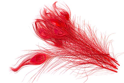 10 echte Pfauenfedern ca. 25-30cm (rot 250) // Pfau Federn Natur Auge Deko Pfauenaugen Schmuck von Creativery
