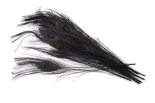 10 echte Pfauenfedern ca. 25-30cm (schwarz 030) // Pfau Federn Natur Auge Deko Pfauenaugen Schmuck von Creativery