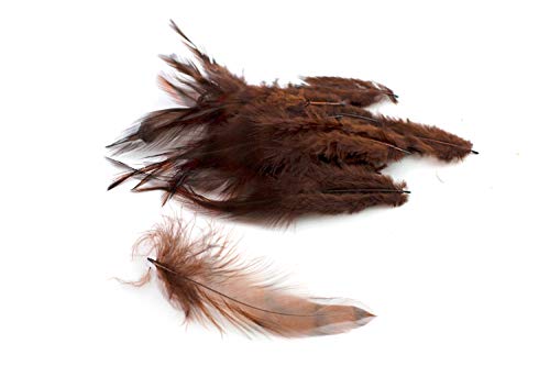 20 Hahnenfedern CHINCHILLA ca. 10-15cm (braun 870) // Dekofedern Bastelfedern Federn Schmuckfedern Vogelfedern von Creativery