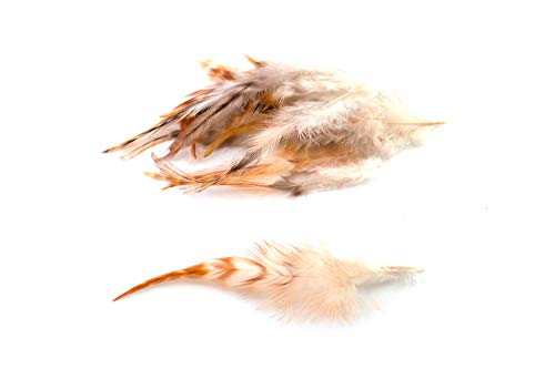 20 Hahnenfedern CHINCHILLA ca. 10-15cm (natur rotbraun) // Dekofedern Bastelfedern Federn Schmuckfedern Vogelfedern von Creativery