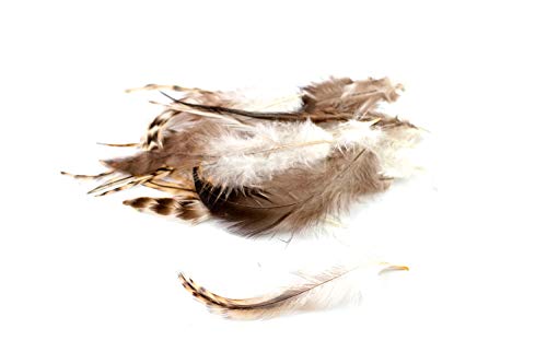 20 Hahnenfedern CHINCHILLA ca. 10-15cm (naturell) // Dekofedern Bastelfedern Federn Schmuckfedern Vogelfedern von Creativery