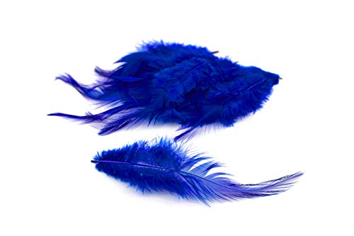 3g Hahnenkreuz Federn ca. 8-13cm (blau 352 / königsblau/royalblau) // Dekofedern Bastelfedern Federn Hahn Natur Schmuckfedern Vogelfedern Hahnenfedern von Creativery